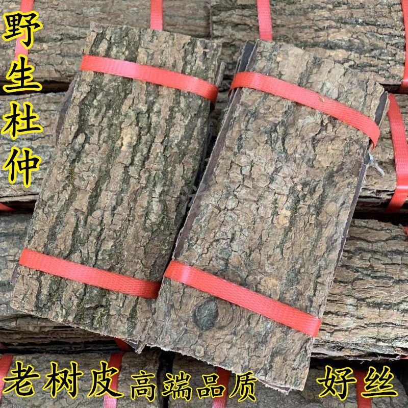 野生杜仲皮正宗老树川杜仲精选丝质绵密当季新鲜干货大块泡酒煲汤