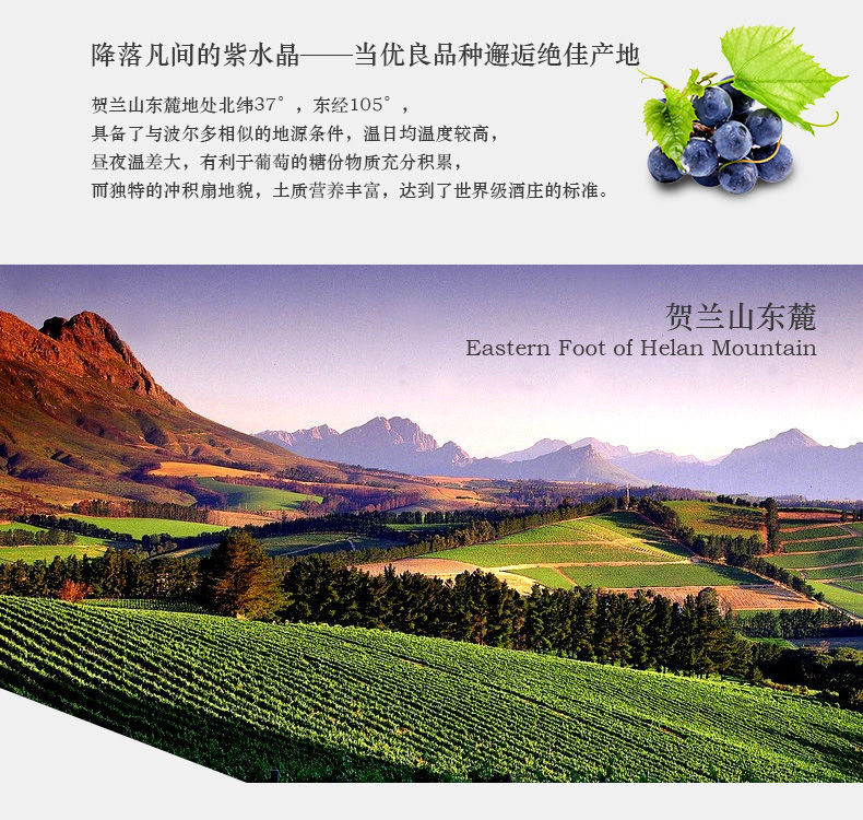 红酒整箱宁夏贺兰山东麓葡萄酒宁夏红葡萄酒国产红酒赤霞珠干红