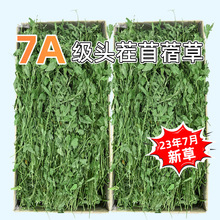 23年烘干苜蓿草兔子食用草龙猫粮食粮草干草猪牧草新草苜宿草