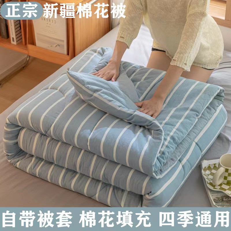 厂家直销水洗棉新疆棉花被子冬被被芯春秋被夏被四季通用礼品被