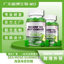 现货O EM现货跨境供应海藻软糖sea moss gummies小熊水果味软糖VC
