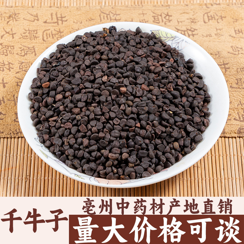 千牛子二丑黑牵牛喇叭花子喇叭花籽亳州中药材批发中草药药食同源