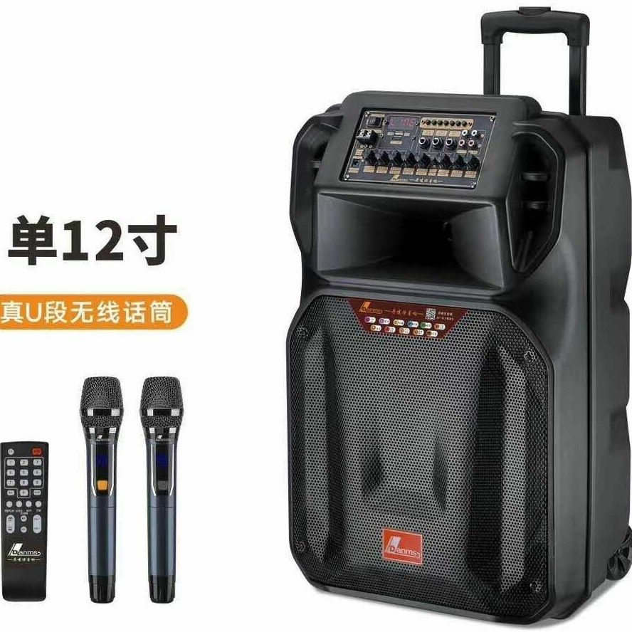 丹唛仕12寸大功率户外广场舞蓝牙音箱拉杆便捷式唱歌电瓶音箱