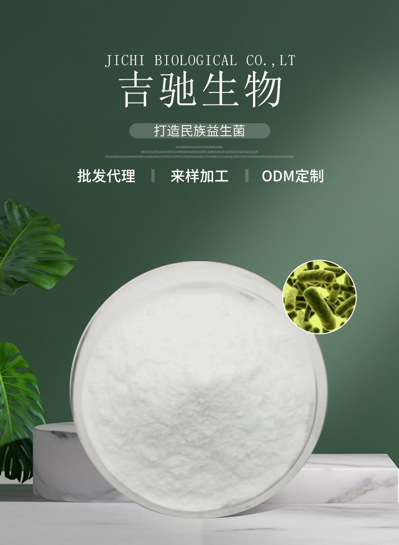 长双歧杆菌 复合益生菌固体饮料食品原料乳酸菌冻干粉厂家