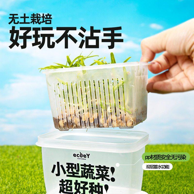 水培绿植无土栽培室内植物儿童盆栽科学种植实验小无土栽培套装