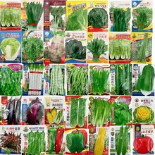 四季蔬菜种子菜籽菜园阳台青菜生菜南瓜辣椒瓜果蔬菜种籽种孑大全