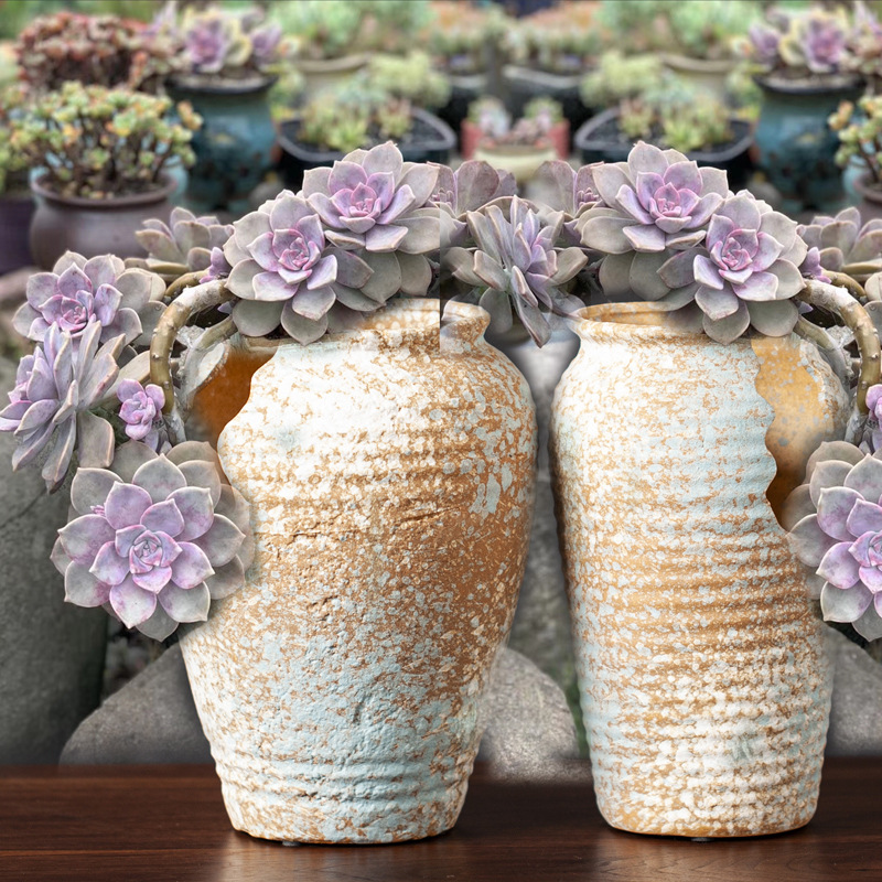 特大号切口法师花盆多肉盆粗陶多肉植物多孔造型庭院花盆紫乐老庄