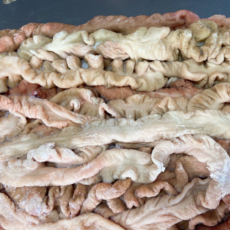 猪大肠肥肠新鲜20斤半熟10/20斤去油冷冻大肠卤味食材批发代发