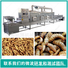大豆熟化杀菌微波干燥设备 黄豆微波干燥杀菌设备现货出售
