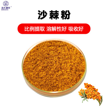 现货销售沙棘汁粉沙棘果粉 水溶沙棘粉 浓缩萃取果蔬代餐粉-阿里巴巴