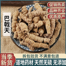 中药材店铺巴戟天 抽芯 巴戟肉 可磨粉 巴戟天 泡酒500g