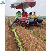 双行大葱移栽机 章丘大葱红葱等葱苗种植机 辣椒红薯大葱移栽机