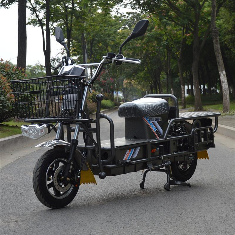 路霸载重王电动车72拉货电瓶车大力神电摩长跑王送快递两轮大平板