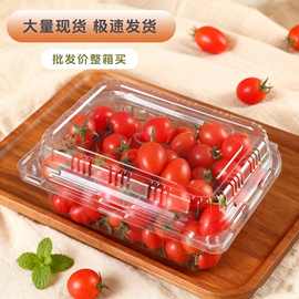 一次性水果打包盒加厚透明塑料带盖一斤装超市食品果蔬包装盒