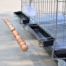 鸡笼子家用大号包邮养殖笼运输鹌鹑笼鸭笼鹅笼蛋鸡笼自动滚蛋鸡窝