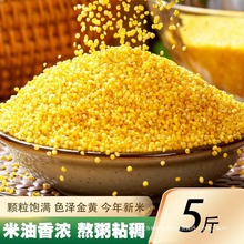 黄小米5斤 新米小黄米小米粥农家小米粥米食用小米粗粮小米粮油