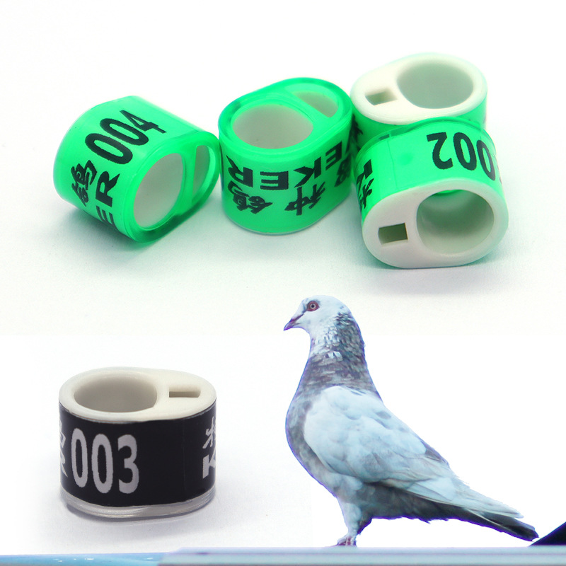 全塑电子鸽环 比利时欧洲信鸽脚环 鸽具外籍鸽环电子标签工厂定制
