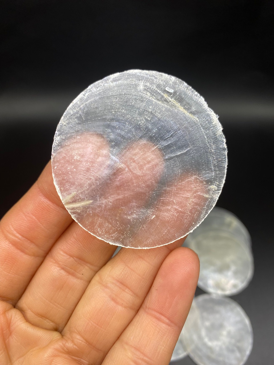 50mm镜贝 天然贝壳 diy贝壳原材料 半透明贝壳 可做贝壳风铃-阿里巴巴