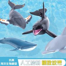 儿童玩具仿真海洋动物海底生物模型大白鲨鲨鱼海豚抹香鲸虎鲸螃蟹