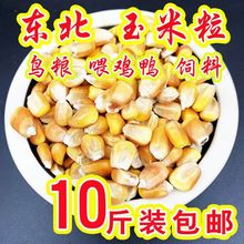 玉米粒饲料10斤20斤新苞米杂粮喂鸟鸡鸭鹅猪鸽子5斤米糠玉米粉