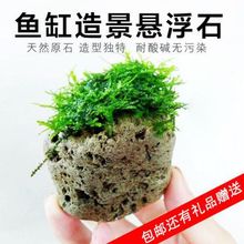 鱼缸造景浮石水草缸装饰真草浮石阿凡达悬浮石莫斯绿植浮石套餐