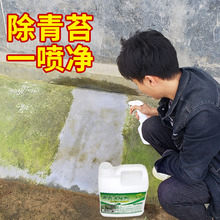 青苔清除剂水泥地面除青苔专用青苔净青苔克星墙面苔藓去除青苔剂