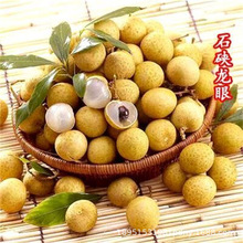 四季龙眼苗 嫁接无核桂圆储良石硖龙眼果树苗当年结果苗龙眼树苗
