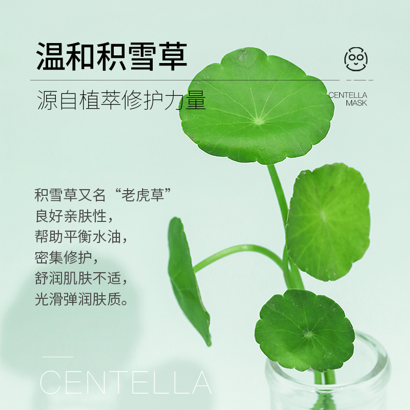 Xiantii Centella Asiatica Moisturizing Facial Mask Pack Moisturizing Facial Care Mask Sheet Wholesale Delivery