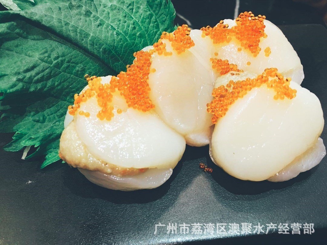 海鲜"原汁带子贝柱"超低温刺身日料寿司餐厅高端食材批发15kg
