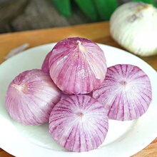 四川独头蒜珍珠蒜大蒜头5斤紫皮干蒜新鲜辛辣香湿新蒜农家非云南