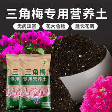 三角梅专用土营养土花土开花专用土盆栽土壤肥料泥土种植土培养莉