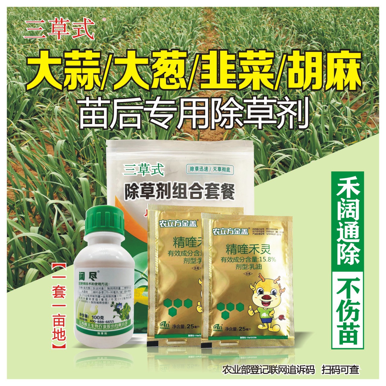 大蒜大葱韭菜胡麻田苗后专用除草剂大蒜除草剂大葱韭菜胡麻除草剂