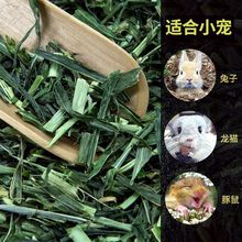 牧料年新大麦段兔粮提摩西猪粮苜蓿干豚鼠饲料