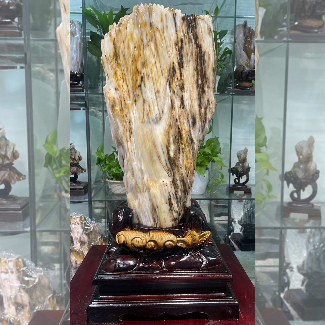 缅甸树化玉奇石冰种树化石木化玉木化石硅化木收藏装饰摆件