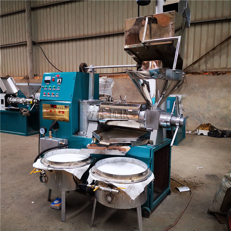 大中小型螺旋榨油机榨花生菜籽油葵瓜子芝麻油机器食用油压榨机