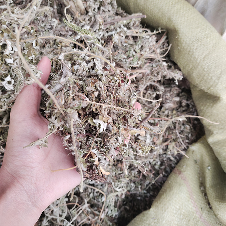 中药材批发白头翁 产地一手货源供应白头翁-阿里巴巴