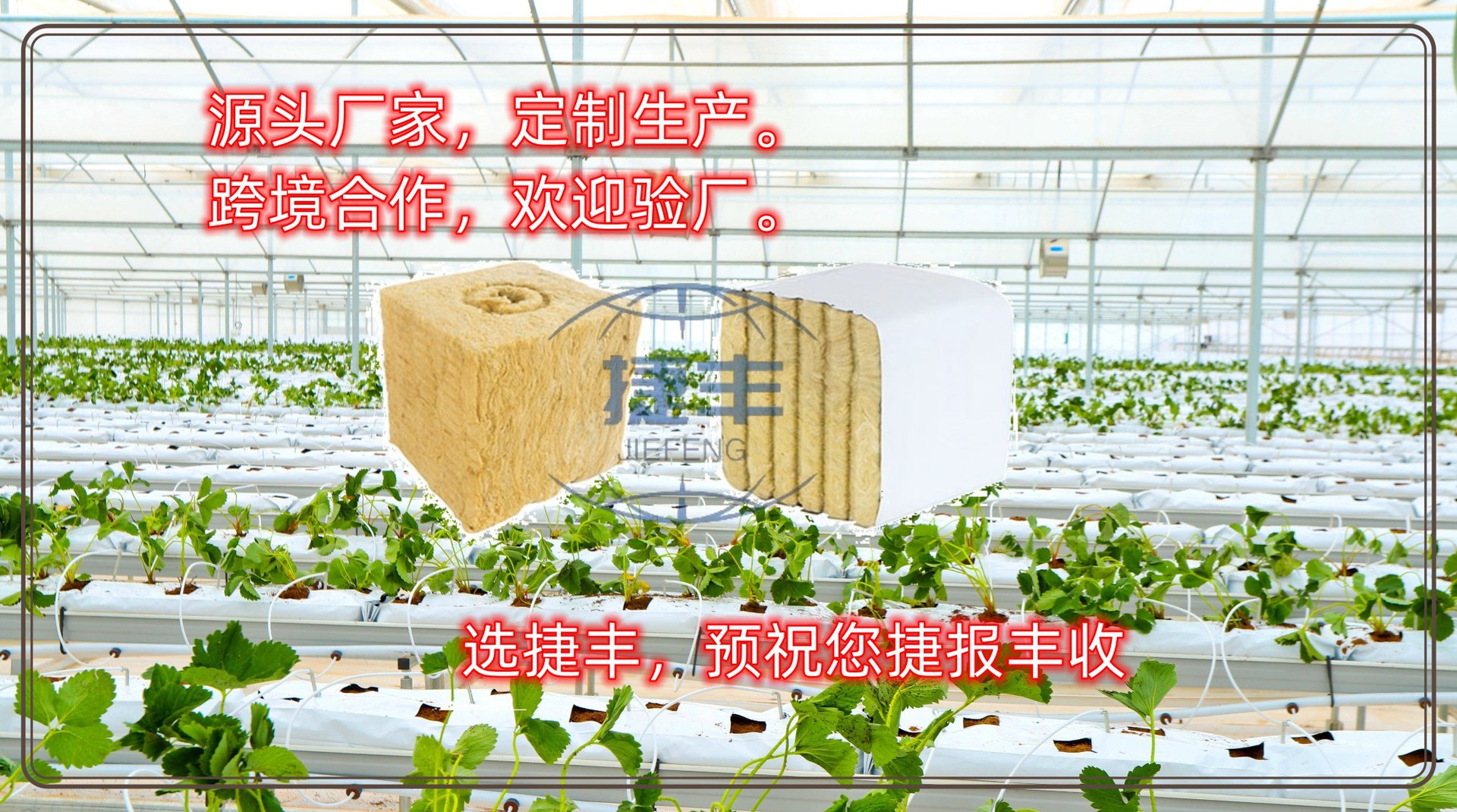 跨境推荐厂家【捷丰】农用岩棉育苗块  袋压缩育苗栽培基质种植块