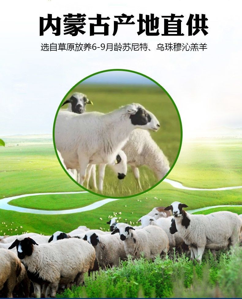 【内蒙羊肉卷】锡盟苏尼特草地牧民散养新鲜羊肉整卷【产地直销】