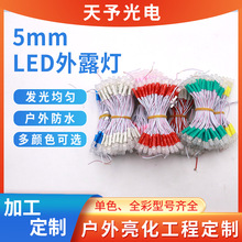 5mm外露灯LED灯12v5v防水高亮串孔灯珠招牌广告发光字照明灯点光