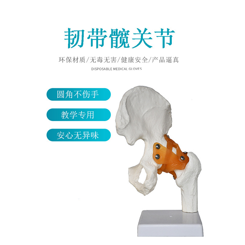 Ly Human Skeleton Model 6 Joint Model Knee Joint Foot Joint Hand Joint Shoulder Joint Elbow Joint Hip Joint