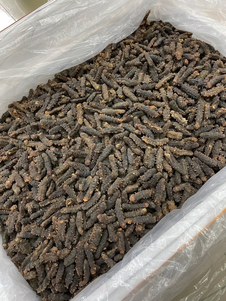 138145头印尼小刺参海参肉厚泡发率高现货发货批发一件代发