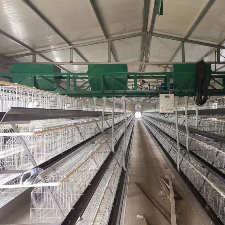 养鸡场自动喂料机鸡场两列三列四列行走式自动上料喂料机