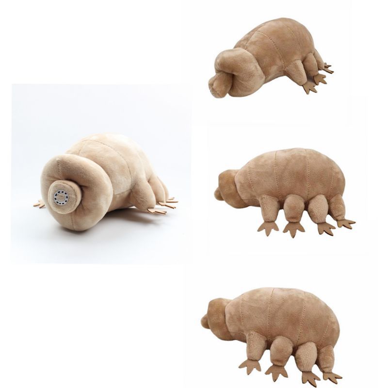 跨境新品tardigrade地球强生物水熊虫公仔仿真虫子毛绒玩具现货