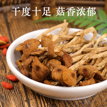 茶树菇干货店500g一斤装云南干香菇蘑菇商用罐装批发新鲜