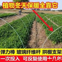 菜棚保温棚花棚拱玻纤杆农用育苗小拱棚支架拱杆骨架玻璃钢弹力棒