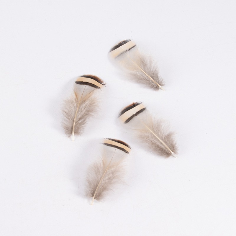 Factory in Stock Natural Color Stone Chicken Feather 4-8cm Feather Natural Pheasant Feather Wild Bird Hair DIY Decoration Accessories