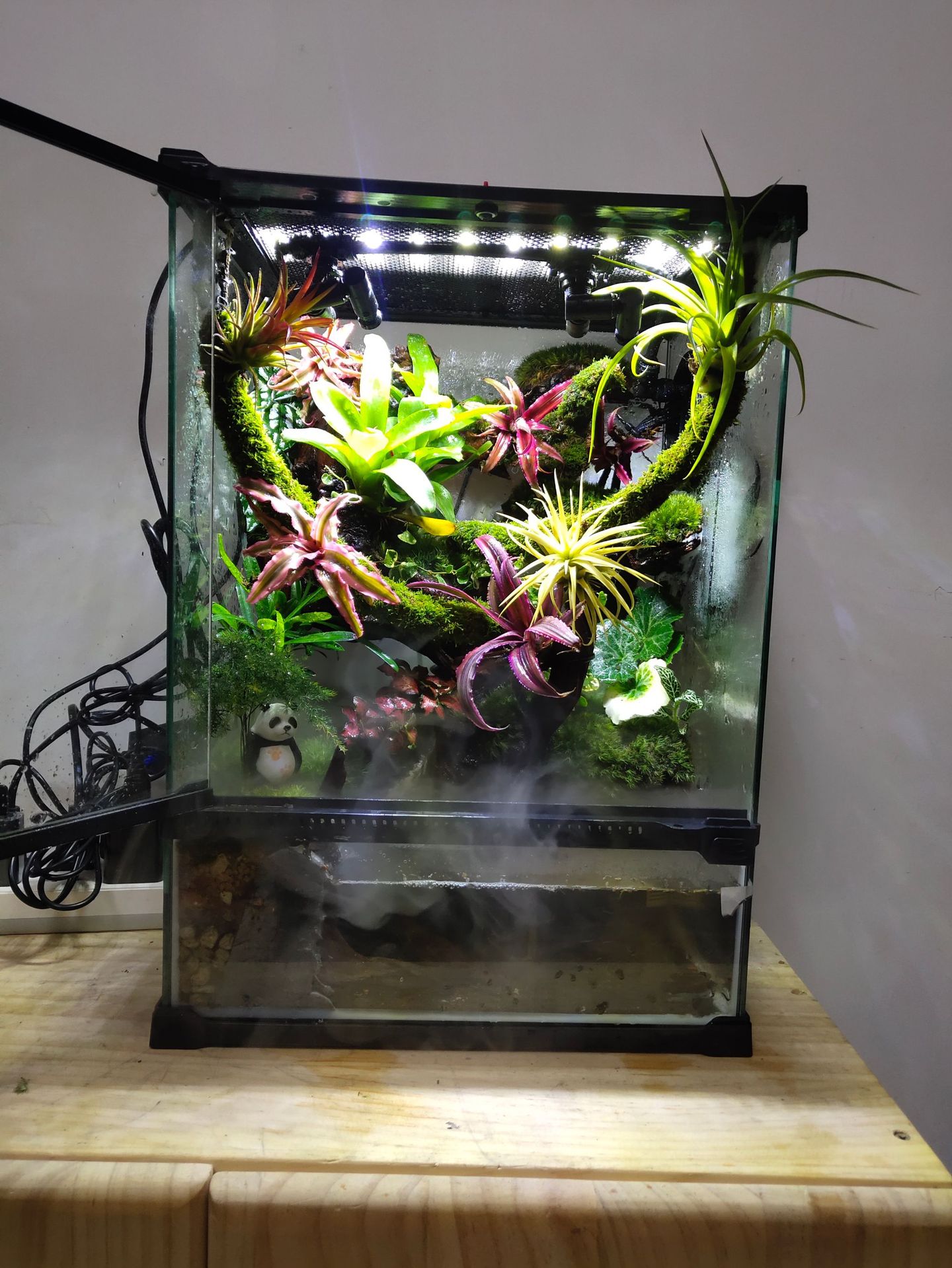 雨林缸流水设计生态微景观室内植物造景水陆生态水族缸成品发货