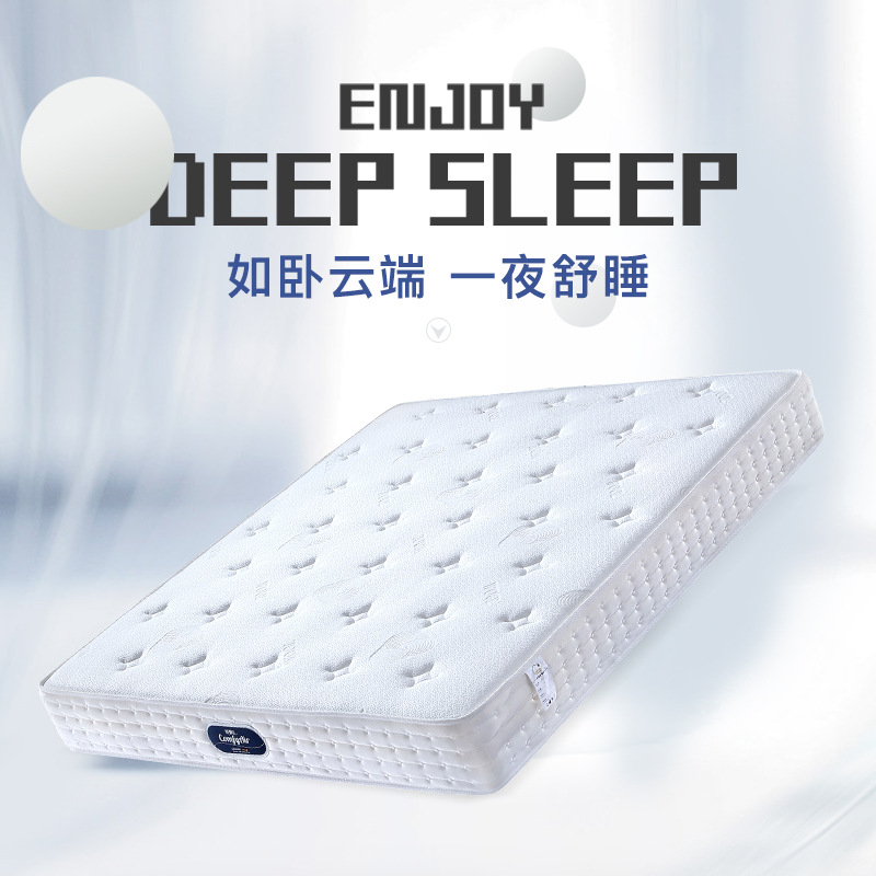 5m环保棕床垫1.8米双人席梦思垫子