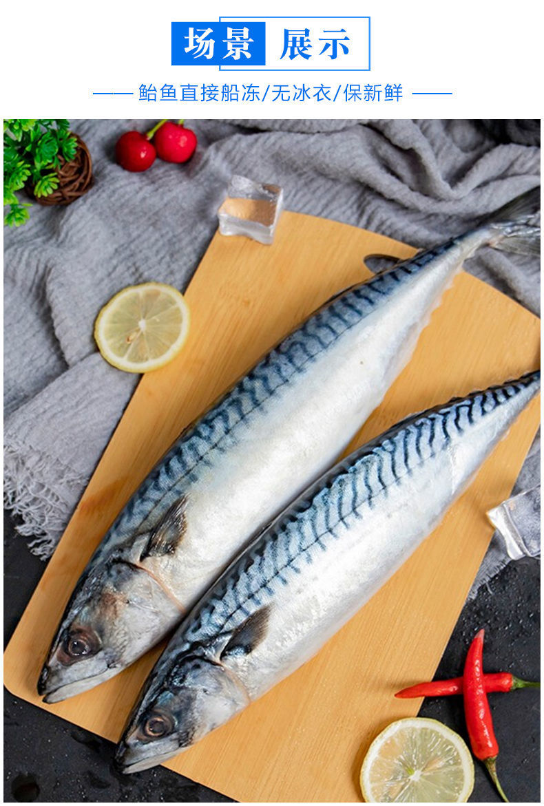 5斤顺丰包邮青占鱼新鲜青花鱼整条冻深海鱼青鱼冷冻日料