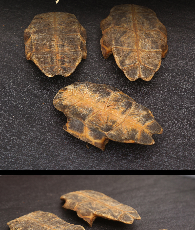 现货供应中药材制龟板 醋龟板龟甲龟板片 可磨粉中药材炙龟板